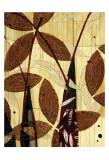 Buy Trout and Feather II at AllPosters.com