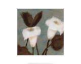 Buy Solace at AllPosters.com
