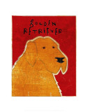Buy Golden Retriever at AllPosters.com