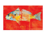 Spot