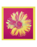 Daisy, c.1982 (Fuschia and Yellow)