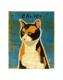 Calico