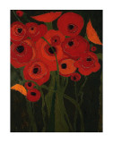 Wild Poppies