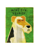 Wire Fox Terrier