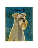 Schnauzer