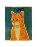 Tabby (orange)