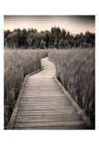 Towards Woods