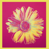 Daisy, c.1982 (Fuschia and Yellow) Art Print