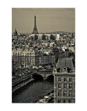 Paris Rooftops