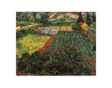 Field of Poppies, Saint-Remy, c.1889