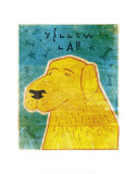 Lab (yellow)