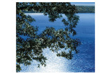 Silver Light, 2006