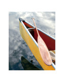 Buy Still at AllPosters.com
