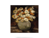 Buy Apricot Poppies at AllPosters.com