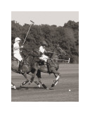 Polo In The Park IV