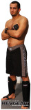 MMA Fighters - Mousasi