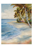 Buy Tropical Retreat at AllPosters.com