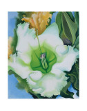 Buy Cup of Silver Ginger, c.1939 at AllPosters.com
