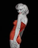 Lady In Red I