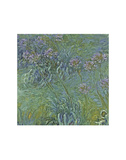 Jewelry Lilies