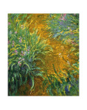 Buy The Path in the Iris Garden at AllPosters.com