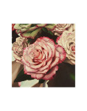 Buy Vintage Rose at AllPosters.com