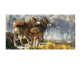 Return of the Wild