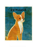 Chihuahua (red)