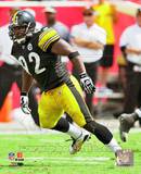 James Harrison 2010 Action