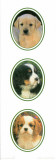 Decorative Panels Dogs II