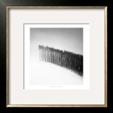 Buy Forest Edge, Hokuto, Hokkaido, Japan, 2004 at AllPosters.com