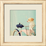 Dog Gone