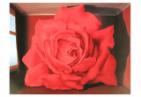 Buy Le Tombeau Des Lutteurs at AllPosters.com