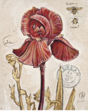 Ruby Collection II