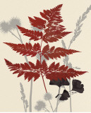 October Fern I