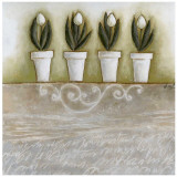 Pots de Tulipes