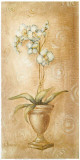 Buy Orchid&eacute;e at AllPosters.com