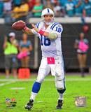 Buy Peyton Manning 2010 Action at AllPosters.com