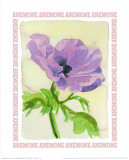 Message in a Bottle, Anemone