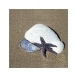 Startfish I