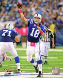 Buy Peyton Manning 2010 Action at AllPosters.com