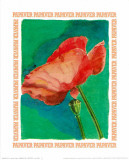 Message in a Bottle, Papaver