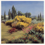 Provencal Landscape