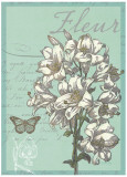 Fleur Nouveau