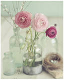 Blooming Bottles