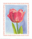 Message in a Bottle, Tulipa