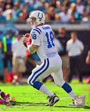 Buy Peyton Manning 2010 Action at AllPosters.com