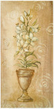 Buy Gigli Bianci at AllPosters.com