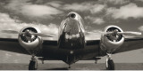 Buy Runway Glory at AllPosters.com