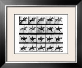 Buy Man and Horse Jumping, from "Animals in Motion", London, Published 1907 at AllPosters.com